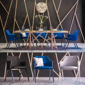 Roche bobois furniture